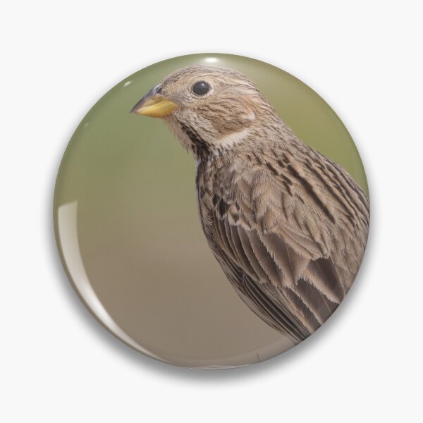 Item preview, Corn Bunting designed and sold by LaurenTucker.