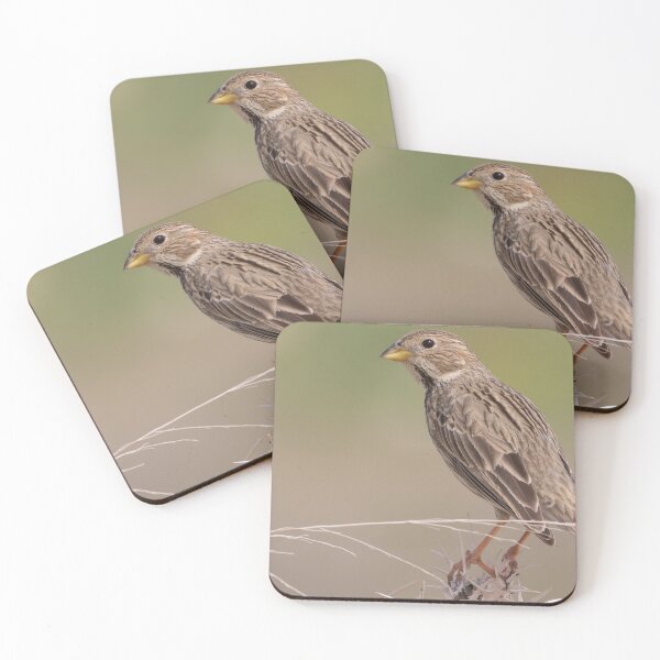 Item preview, Corn Bunting designed and sold by LaurenTucker.