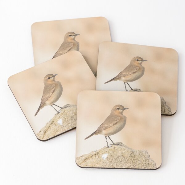 Item preview, Isabelline Wheatear designed and sold by LaurenTucker.