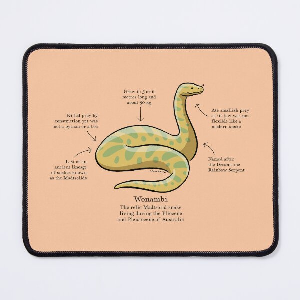 Item preview, Wonambi the giant snake of prehistoric Australia designed and sold by Richard Morden.