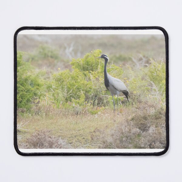 Item preview, Demoiselle Crane designed and sold by LaurenTucker.