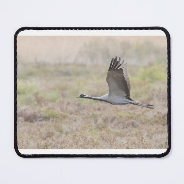 Item preview, Demoiselle Crane designed and sold by LaurenTucker.