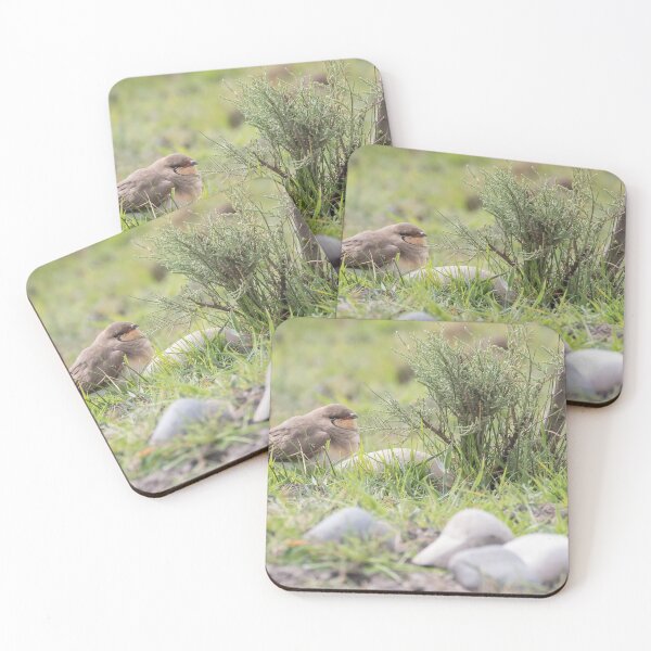 Item preview, Collared Pratincole designed and sold by LaurenTucker.