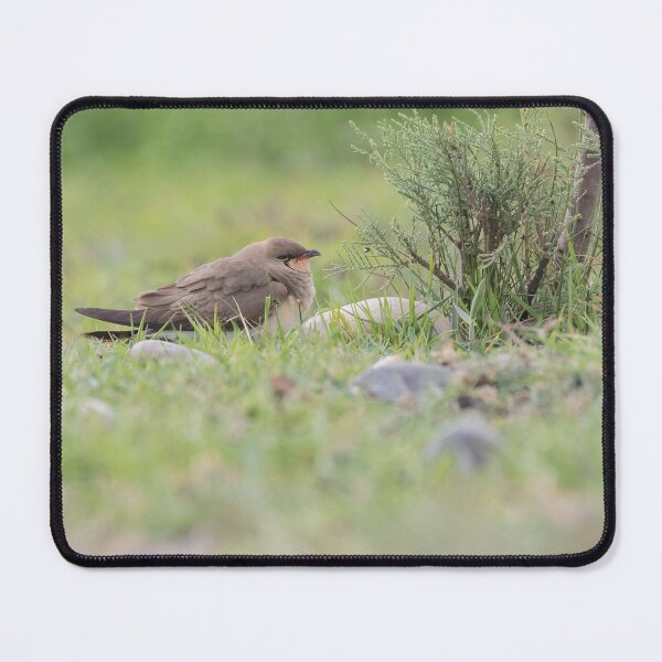Item preview, Collared Pratincole designed and sold by LaurenTucker.