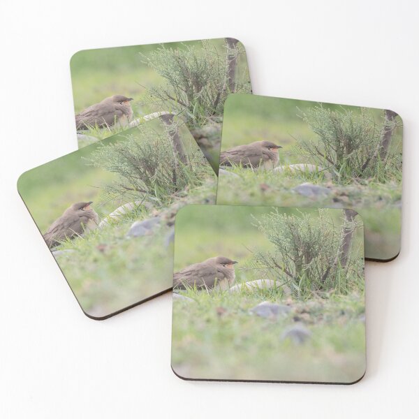 Item preview, Collared Pratincole designed and sold by LaurenTucker.