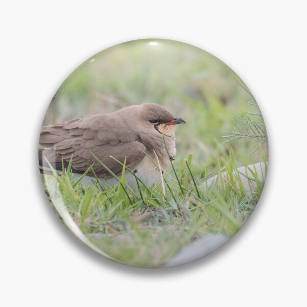 Item preview, Collared Pratincole designed and sold by LaurenTucker.
