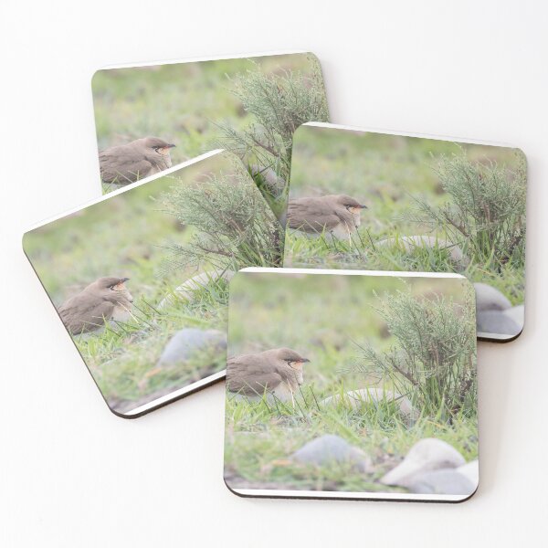 Item preview, Collared Pratincole designed and sold by LaurenTucker.