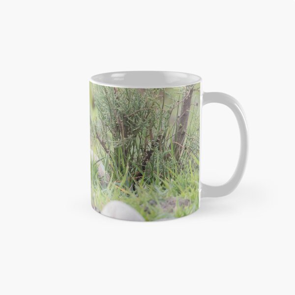 Item preview, Collared Pratincole designed and sold by LaurenTucker.