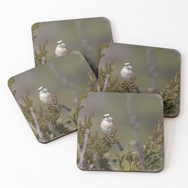 Item preview, Spoonbill designed and sold by LaurenTucker.