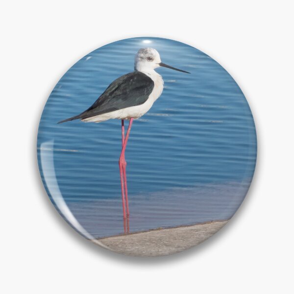 Item preview, Black Winged Stilt designed and sold by LaurenTucker.