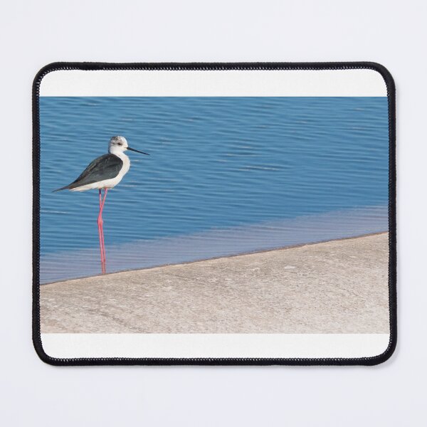 Item preview, Black Winged Stilt designed and sold by LaurenTucker.