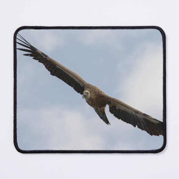 Item preview, Griffon Vulture designed and sold by LaurenTucker.