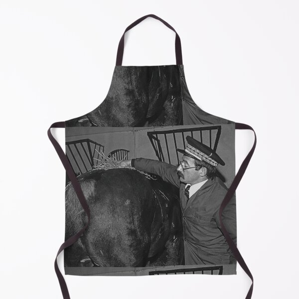 Item preview, r648/ silver time " Open day at Haras de Saintes (17) France 1981 - Journée porte Ouverte au Haras de Saintes " Okaio Créations Olavia-Olao designed and sold by o.okaïo.