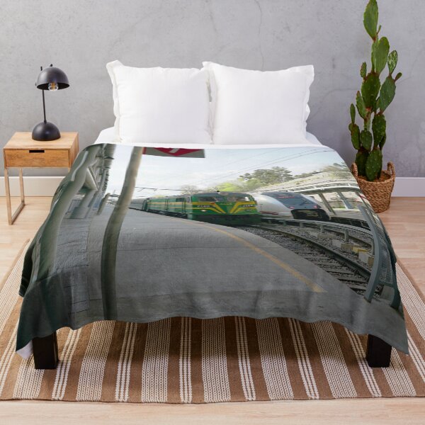 Item preview, ALSA RAIL - ALSA - ALSA TREN - ALSA 2148 - POSTER - PRINCIPE PIO MADRID  designed and sold by Tropical Blood.