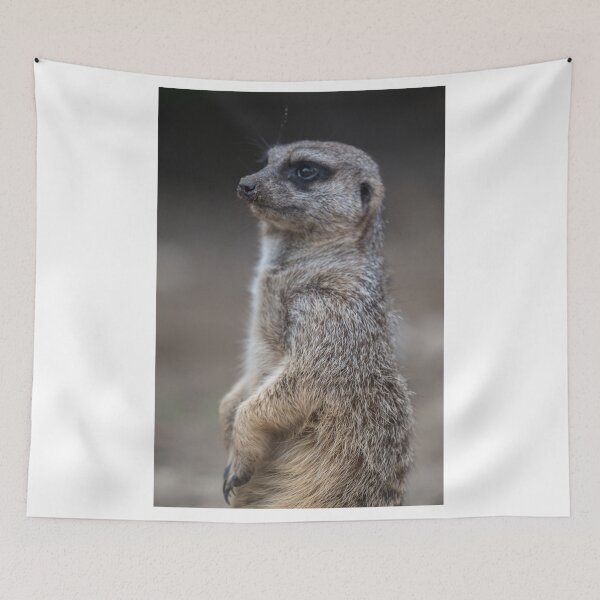 Item preview, Meerkat is watching designed and sold by OskiOnTour.