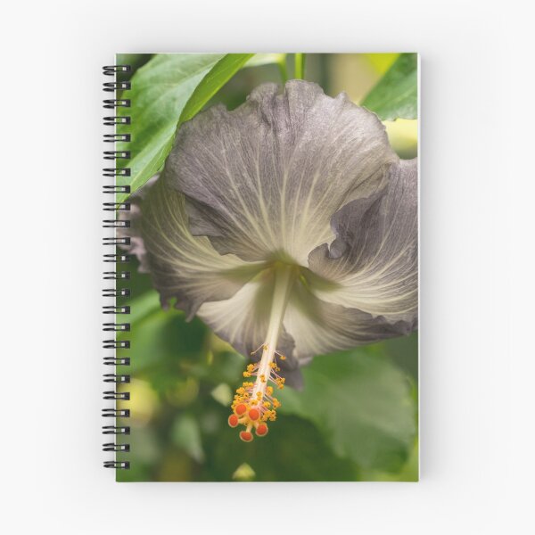 Item preview, Tropical Exotics - Gorgeous Unusually Colored Hibiscus Bloom designed and sold by Georgia Mizuleva.