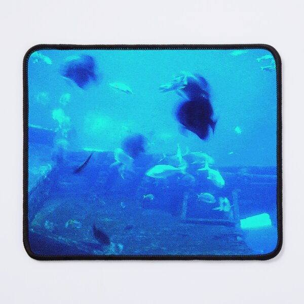 Item preview, Seaworld designed and sold by CDMCustom.