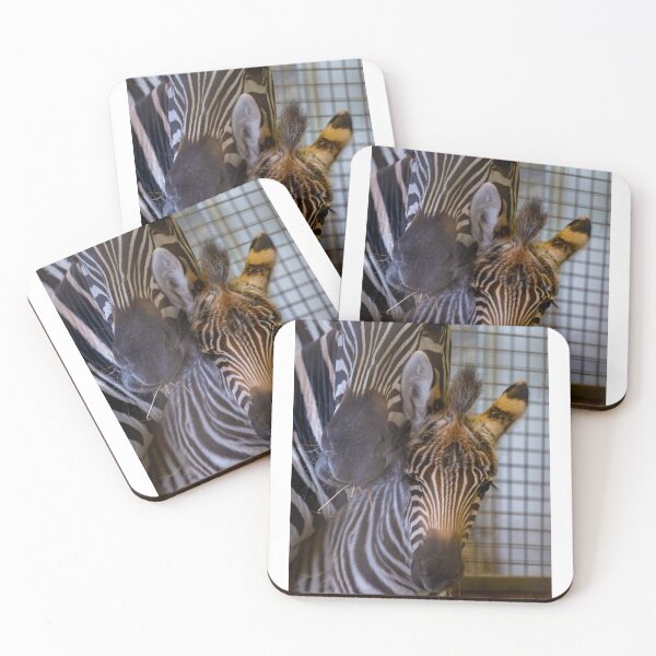 Item preview, zebra foal with mother designed and sold by OskiOnTour.