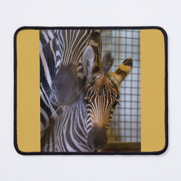 Item preview, zebra foal with mother designed and sold by OskiOnTour.