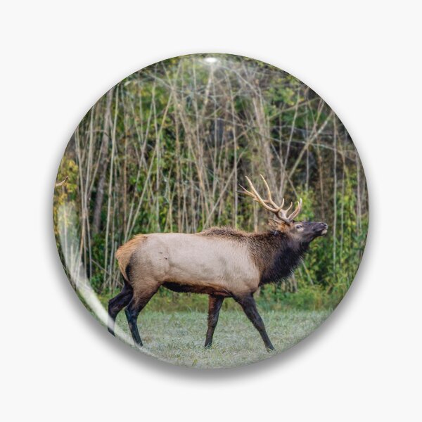 Item preview, Bull Elk And Son designed and sold by mljdwhite.