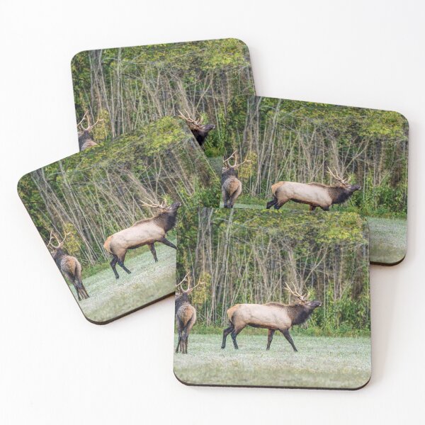 Item preview, Bull Elk And Son designed and sold by mljdwhite.