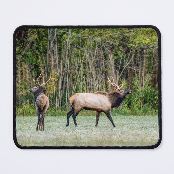 Item preview, Bull Elk And Son designed and sold by mljdwhite.