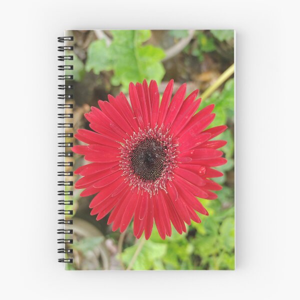 Aperçu de l'œuvre Dessins mignons Dessins de fleurs incroyables créée et vendue par Cute  Prince.