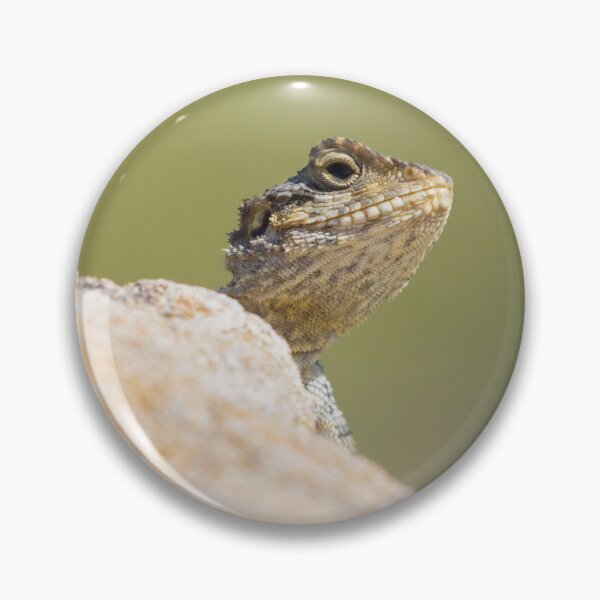 Item preview, Starred Agama designed and sold by LaurenTucker.