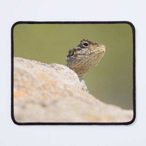 Item preview, Starred Agama designed and sold by LaurenTucker.