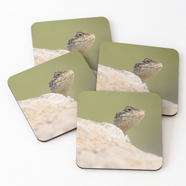 Item preview, Starred Agama designed and sold by LaurenTucker.