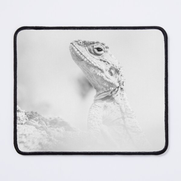 Item preview, Starred Agama designed and sold by LaurenTucker.