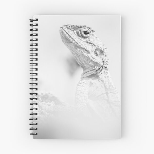 Item preview, Starred Agama designed and sold by LaurenTucker.