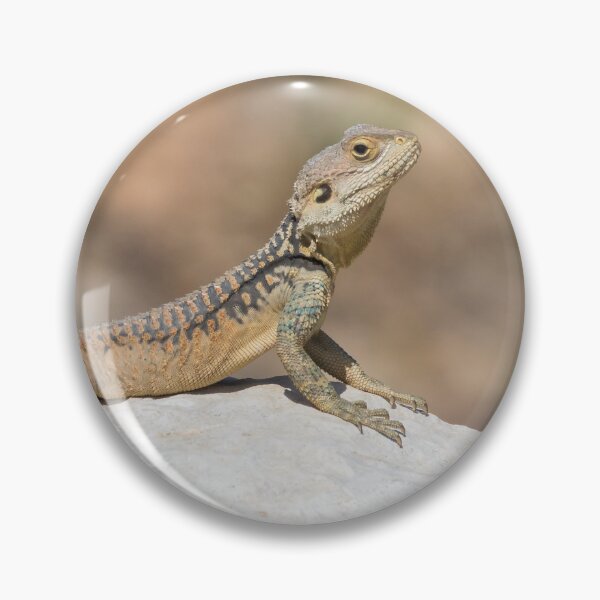 Item preview, Starred Agama designed and sold by LaurenTucker.
