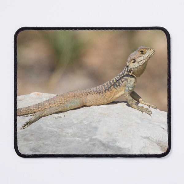 Item preview, Starred Agama designed and sold by LaurenTucker.
