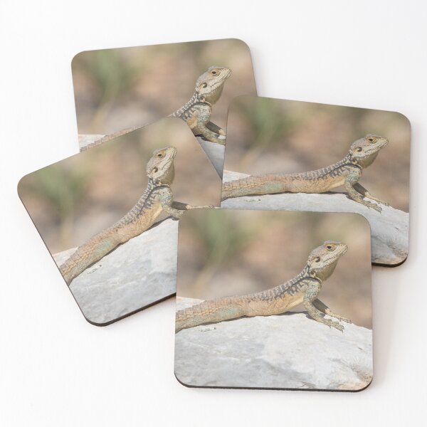 Item preview, Starred Agama designed and sold by LaurenTucker.