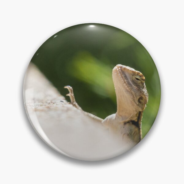 Item preview, Starred Agama designed and sold by LaurenTucker.