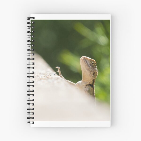 Item preview, Starred Agama designed and sold by LaurenTucker.