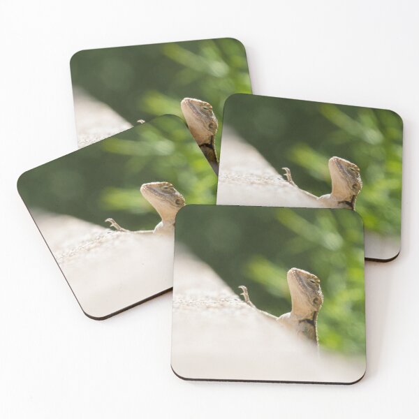 Item preview, Starred Agama designed and sold by LaurenTucker.