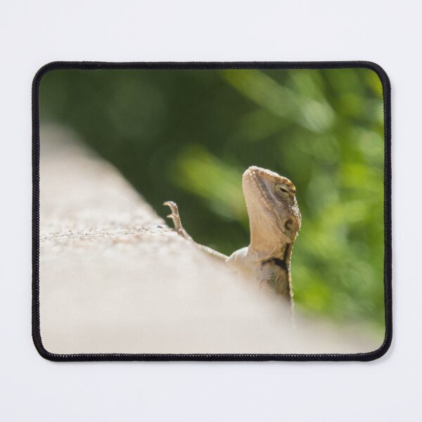 Item preview, Starred Agama designed and sold by LaurenTucker.