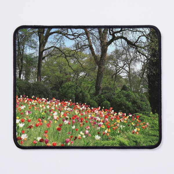 Item preview, Parco Giardino Sigurtà designed and sold by annalisa56.