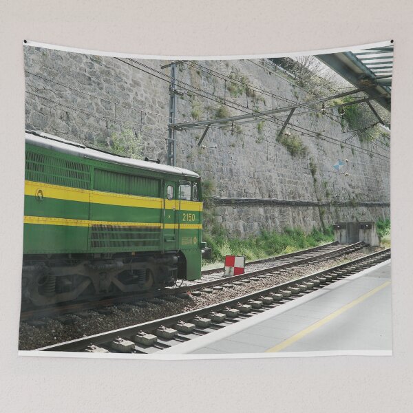 Item preview, ALSA 2150 - ALSA - TRAIN - TRENES - TREN - RAILWWAY - SPAIN TRAIN RAILWAY - PRINCIPE PIO - MADRID  designed and sold by Tropical Blood.