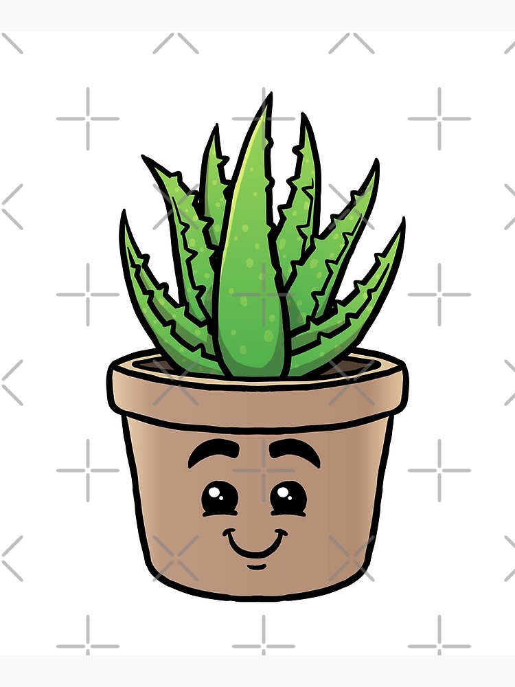 Premium Photo | Aloe vera. single hand-drawn black aloe, isolated on white  background. sketch style illustration.