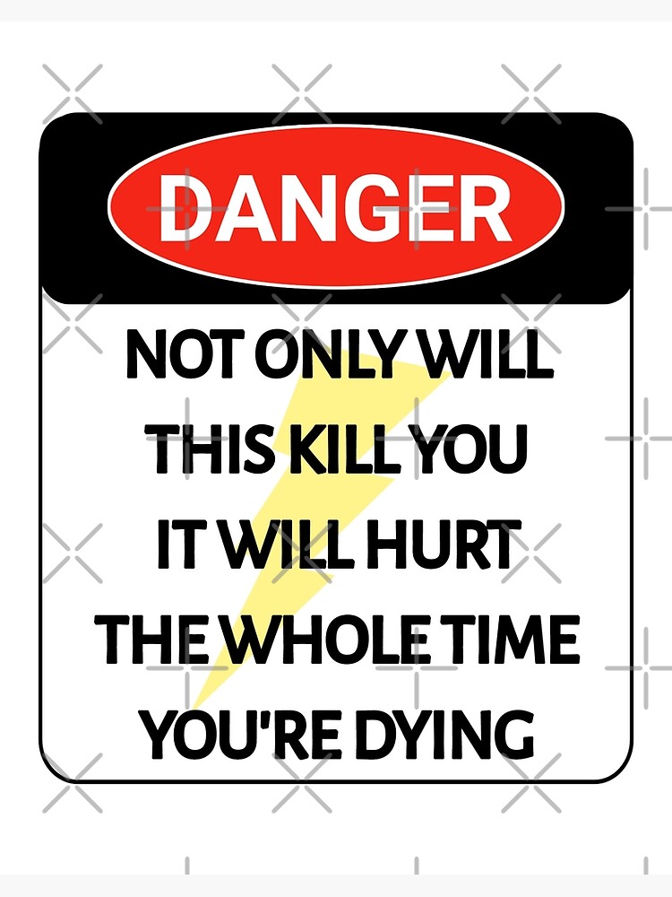 Danger You Are An Idiot Sign Warning Car Bumper Sticker Decal 6 x 4