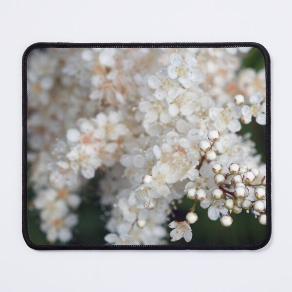 Item preview, White Budding Flowers designed and sold by XCEEDTRANSITION.