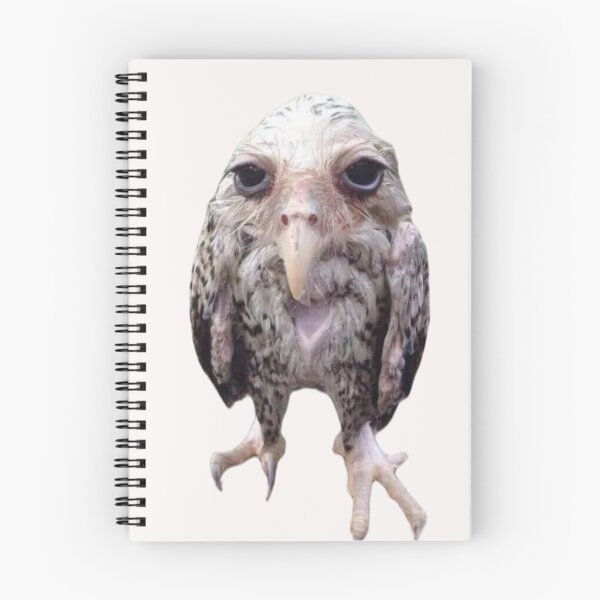 Item preview, Wet Owl Funny Meme  designed and sold by ShopbyZora22.