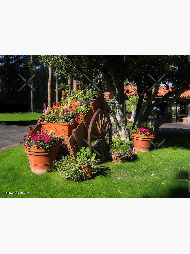 Flower Cart by photorolandi