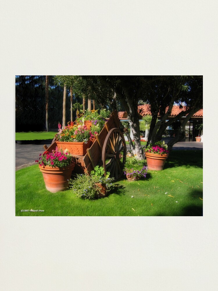 Alternate view of Flower Cart Photographic Print