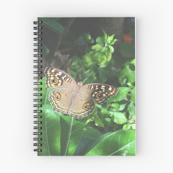Item preview, Butterfly with Brown Eye Pattern designed and sold by MyriadSkies.