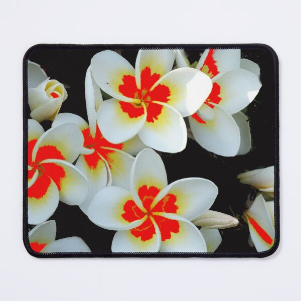 Item preview, flor designed and sold by josesouza.