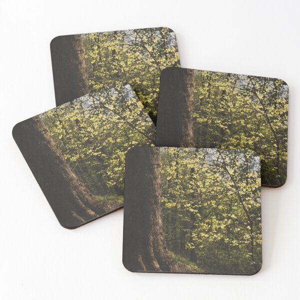 Item preview, The tree enjoys the April morning designed and sold by Silent-Seasons.